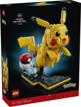 Pikachu and Poké Ball 72152