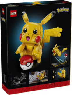 Pikachu and Poké Ball
